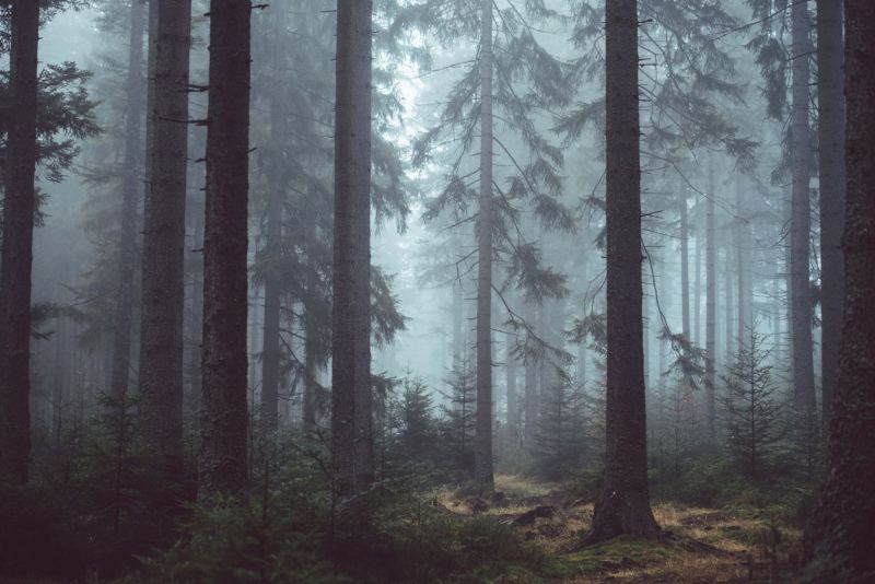 Unsplash-403