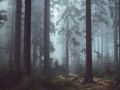 Unsplash-403