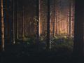 Unsplash-Landscape-112