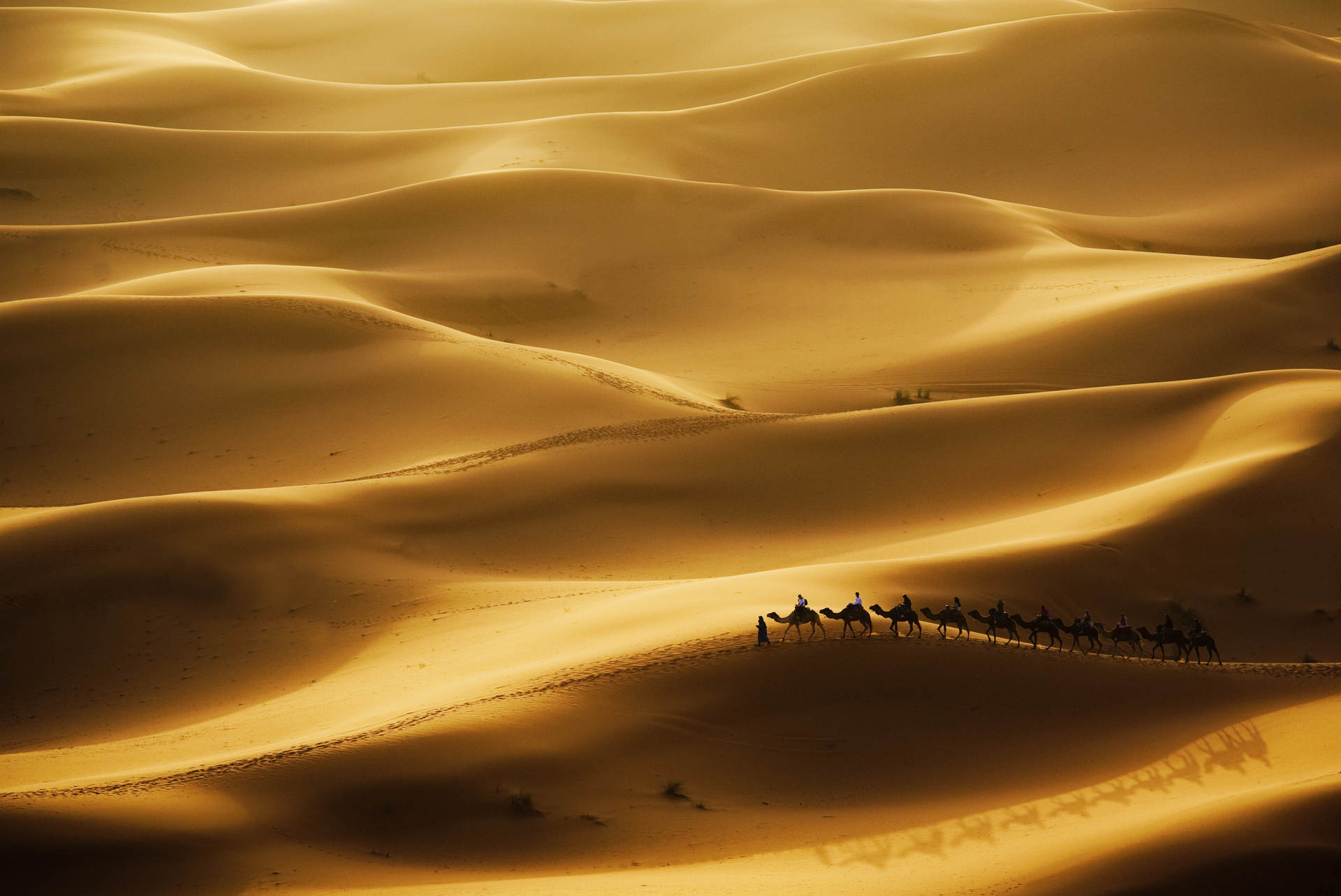 Landscape-21