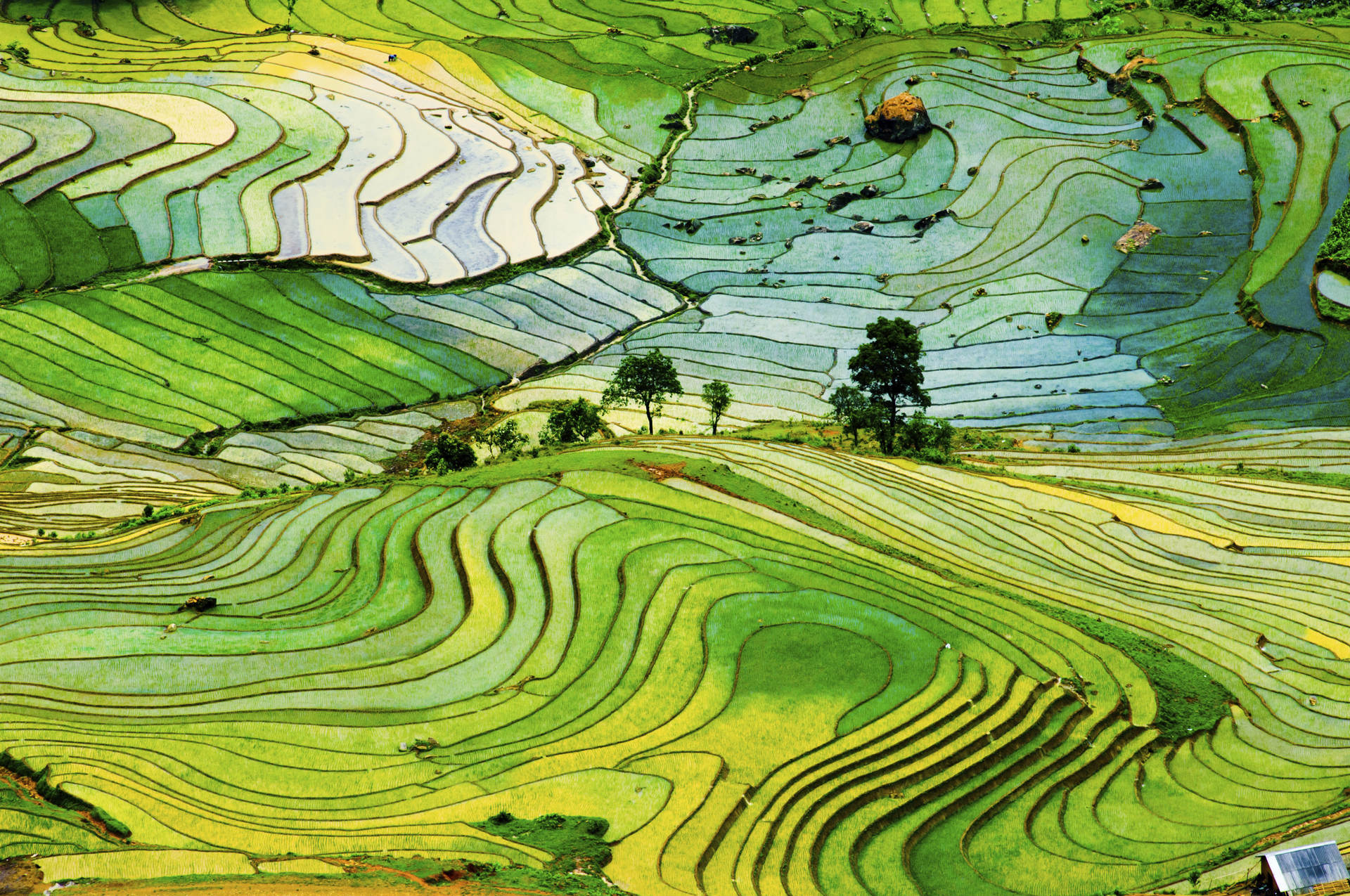 Landscape-02