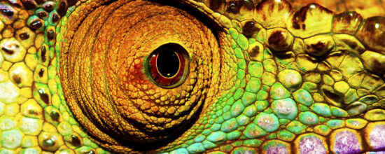 Protected: Example of Password Protected (password is hello)