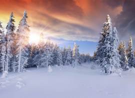 Beautiful winter sunrise in the mountains. Dramatic red sky
